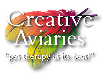 Creative Aviary LLC logo